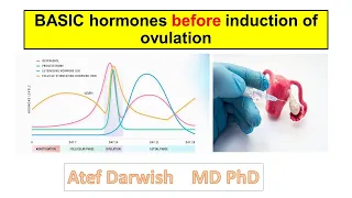 BASIC hormones before induction of ovulation