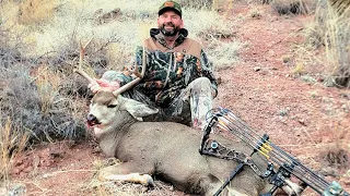 Deer & Javelina Double with the BOW!