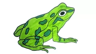 how to draw a frog | Easy Step by Step Drawing for kids | Children Drawing and Coloring