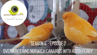The Canary Room Season 6 Episode 2 - Overwintering the Norwich Canary with Keith Ferry