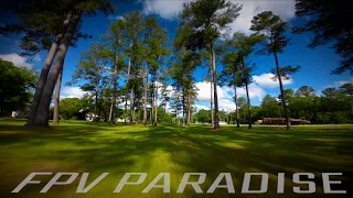 the famous @captainvanover9237 tree spot! | FPV freestyle.