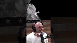 Owls are the MOST RUTHLESS Birds - Joe Rogan