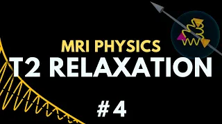 T2 Relaxation, Spin-spin Relaxation, Free Induction Decay, Transverse Decay | MRI Physics Course #4