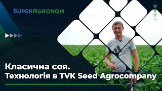 Технологія вирощування класичної сої в TVK Seed: експерименти з шириною міжрядь / СуперАгроном