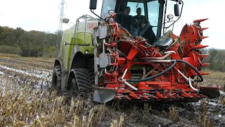 WORST MUDDING of the Decade | Harvesting Corn in DEEP muddy & Watery Fields | 2010-2020 | DK Agri