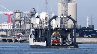 SpaceX Crew Dragon Endeavour Returns to Port Canaveral After Crew-2