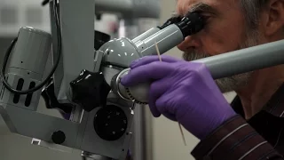 Conservation of Mother-of-Pearl Lacquerware (extended version)