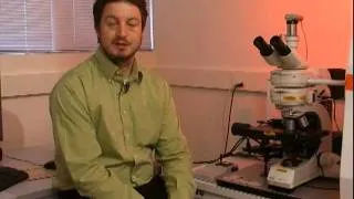 Raman Microscope