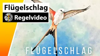 Flügelschlag - Regeln & Beispielrunde