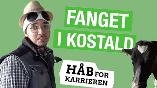 Håb for Karrieren #3: Fanget i en kostald