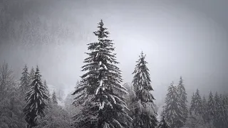 Снегопад,вьюга,метель для сна/Snowfall, blizzard, blizzard to sleep