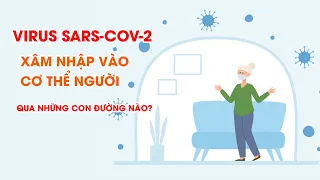 Virus SARS-CoV-2 xâm nhập vào cơ thể người qua những con đường nào? Video AloBacsi