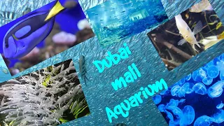 Dubai Mall Aquarium🐟🐠🐬🐳ll Underwater Zoo ll One of the largest Aquarium in the world🌍ll