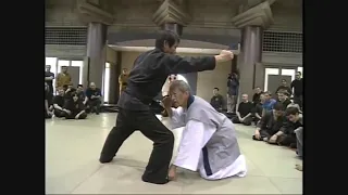 Taijutsu with kakushi buki Tekagi Shuko   Masaaki Hatsumi sensei