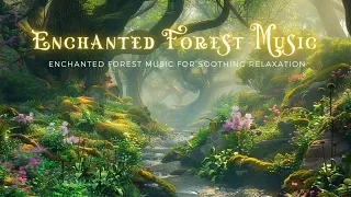 Magical Forest Music 🌳 The Secret to Reducing Stress and Improving Health
