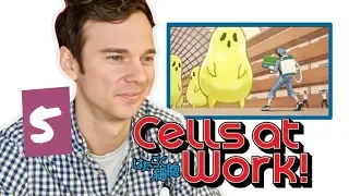 Real DOCTOR reacts to CELLS AT WORK! // Episode 5 // "Cedar Pollen Allergy"