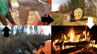 Wie wir Brennholz auf unserem Hof herstellen |Vom Stamm bis zum Bund| FarmVlog#10