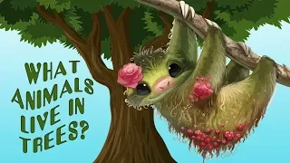 Video for Kids about Animals that live in trees -   Animal Sounds and Names