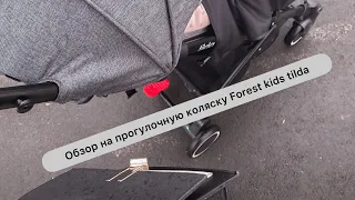 Распаковка и обзор новой прогулочной коляски Forest kids tilda