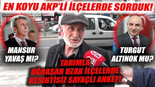 YOK BÖYLE ANKET! Ankara'nın Koyu AKP'li İlçeleri Çubuk - Beypazarı - Kızılcahamam'da Sorduk!