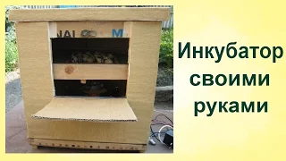 ИНКУБАТОР СВОИМИ РУКАМИ. Простой Надежный ИНКУБАТОР для ЯИЦ из КАРТОННОЙ КОРОБКИ.