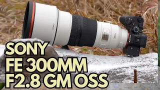 This is the world's lightest 300mm F2 8 telephoto prime lens currently available for any camera syst
