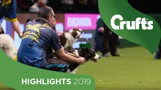 Day 1 at Crufts 2019 was our best ever day! | Crufts 2019