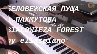 БЕЛОВЕЖСКАЯ ПУЩА/ А.ПАХМУТОВА/ BIALOWIEZA FOREST/ piano cover
