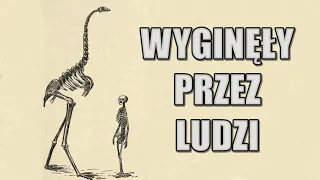 10 ZWIERZĄT, KTÓRE WYGINĘŁY PRZEZ LUDZI