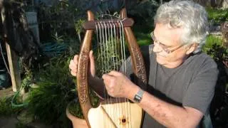 Custom King David 10 string Lyre