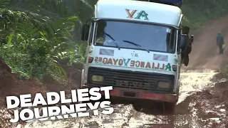 Deadliest Journeys - Cameroon, Birds and Lizards