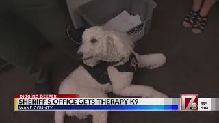 Wake County Sheriff's Office gets new therapy dog