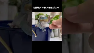 口からはみ出してるから取ってあげようと思ったんやけど…笑