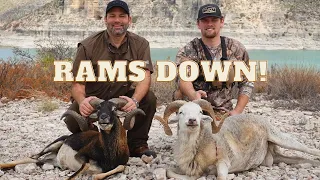 Hunting GIANT Corsican Rams! DEL RIO Ram Hunting!