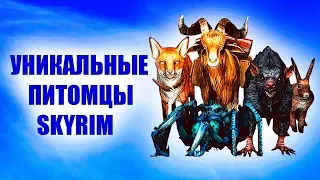 SKYRIM - НОВЫЕ УНИКАЛЬНЫЕ ПИТОМЦЫ Creation Club