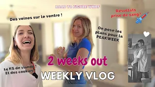Weekly Vlog - 2 Weeks Out - Road to WNBF - Figure