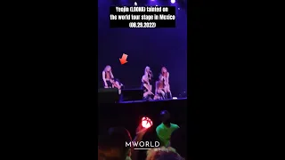 Yeojin (LOONA) fainted on the world tour stage in Mexico #MWORLD #KPOPNEWS #loona #short76