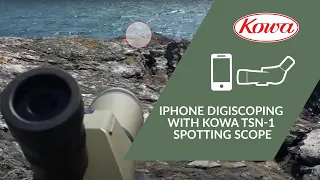 IPhone Digiscoping with Kowa TSN-1 Spotting Scope and iPhone SE