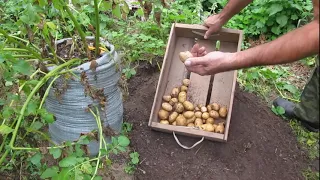 КАРТОШКА В МЕШКАХ 2 ПОЛНАЯ ХРЕНЬ