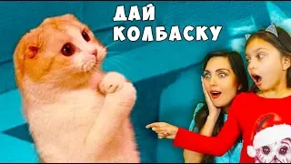 НЕ ЗАСМЕЙСЯ ЧЕЛЛЕНДЖ с КОТАМИ и Мамой #2 Попробуй не засмеяться Чуть НЕ Лопнули ОТ СМЕХА Валеришка