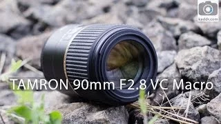 Tamron SP 90mm F/2.8 Di Macro VC USD - Обзор Макро-Объектива