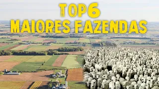 TOP 6 MAIORES FAZENDAS DO BRASIL - FAZENDAS MAIORES QUE CIDADES!