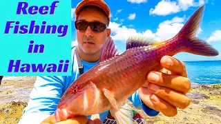 Hawaii Reef Fishing | Fishing in Hawaii | Hawaii Fishing | Hawaii Shore Fishing