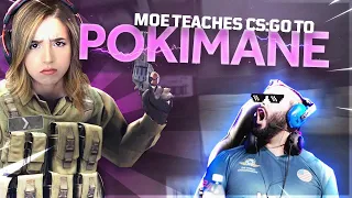 MOE TEACHES POKIMANE CS:GO!!! Ft. Stewie2k, Tarik & Elige