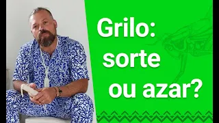 Grilo: sorte ou azar?