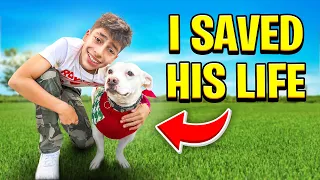 We Saved a Puppy's Life! ❤️