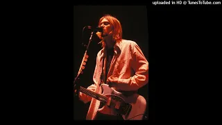 Nirvana - Rape Me (Live In Paris, France 1994, D Tuning) [Le Zénith]