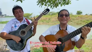 Los compadres “popurrí del gusano”