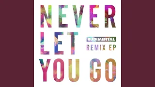 Never Let You Go (feat. Foy Vance) (Don Diablo Remix)