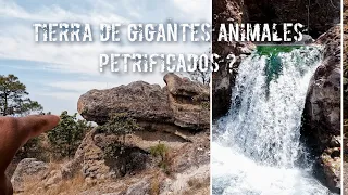 Tierra DE GIGANTES Animales petrificados un lugar  lleno de misterio #aventura #fossil #prehistoric